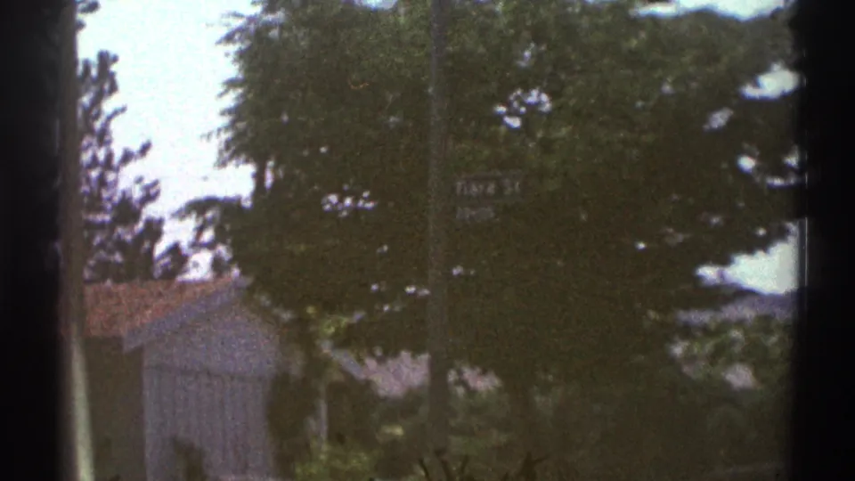 Woodland Hills street view with a small residential structure, leafy trees, utility poles, and a partly legible Tiara St sign.