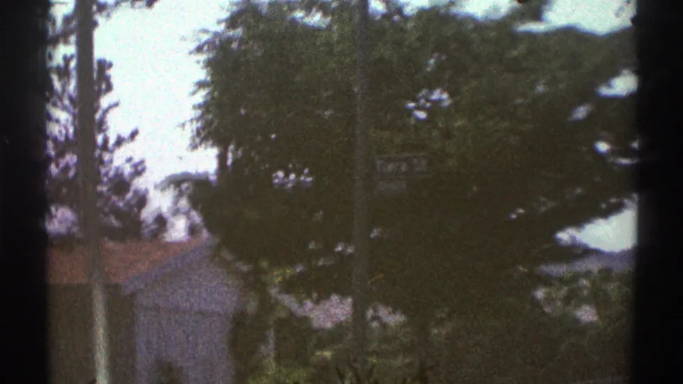 End frame of a 1969 Woodland Hills street view, showing trees, a low residential roofline, shrubs, and central film-edge shadow.