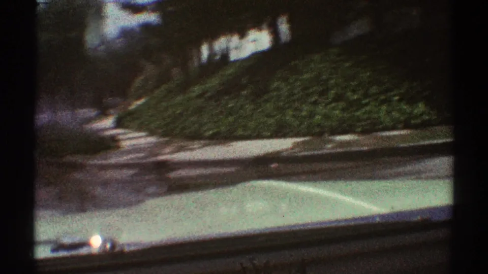 From inside a moving car in Woodland Hills, the frame shows a pale hood passing a sloped green lawn, sidewalk, shrubs, and roadside trees.