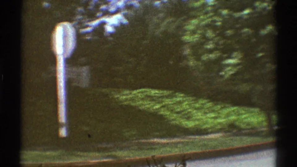 A blurred 8mm roadside frame shows a pale signpost beside green landscaping and trees along the Woodland Hills street.