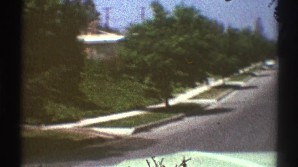 The moving-car view looks down a Woodland Hills residential street with dense shrubs, trees, sidewalk edges, and a white car visible ahead.