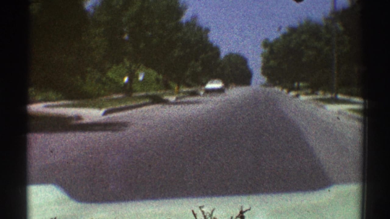Tree-lined suburban street seen over a pale car hood with a white car ahead.