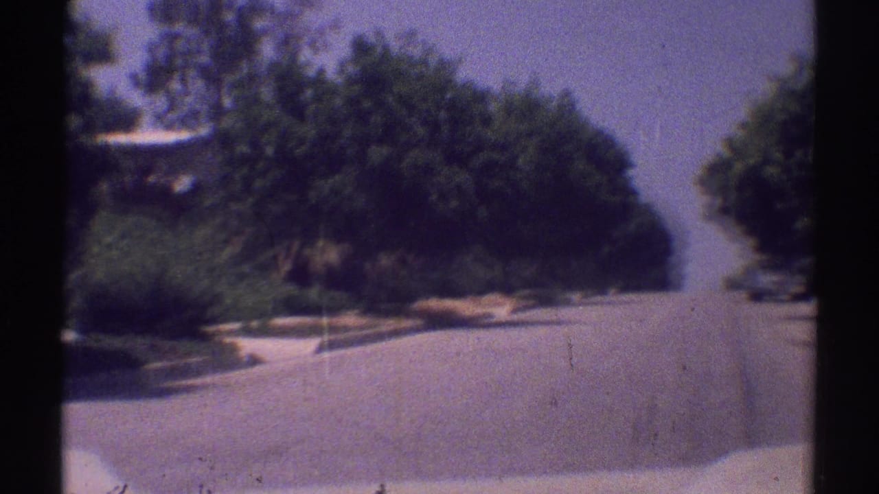 Tree-lined residential street seen from a moving car with dark film borders.