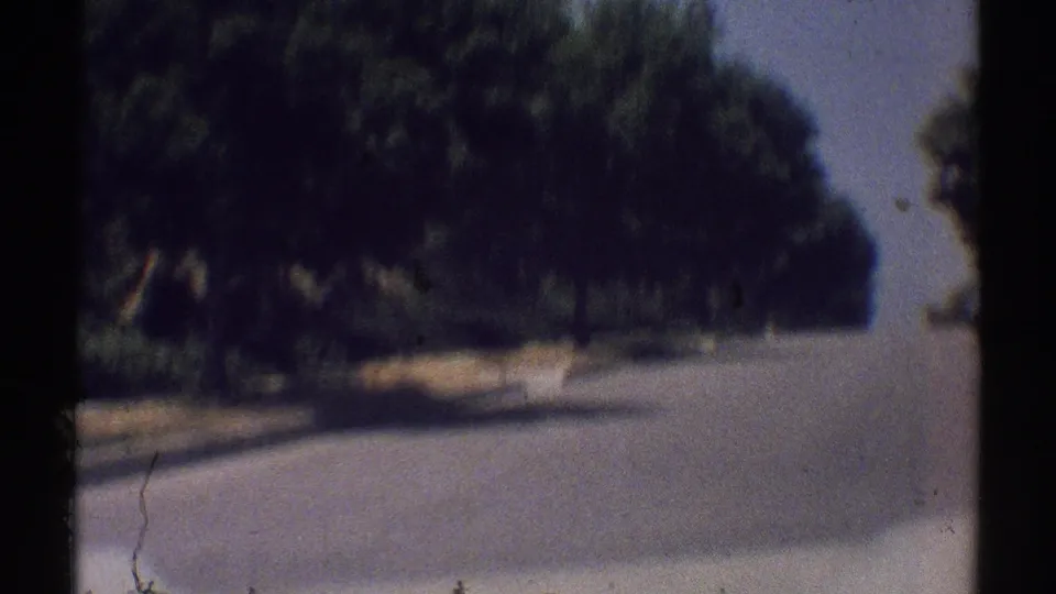 A soft 8mm view of a Woodland Hills neighborhood drive, with a shaded street, dense trees, lawns, and black frame edges.
