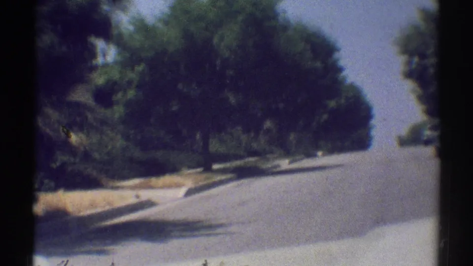 Late-1960s Woodland Hills driving frame with a quiet road, roadside trees, dry grass, curb, and soft faded 8mm color.