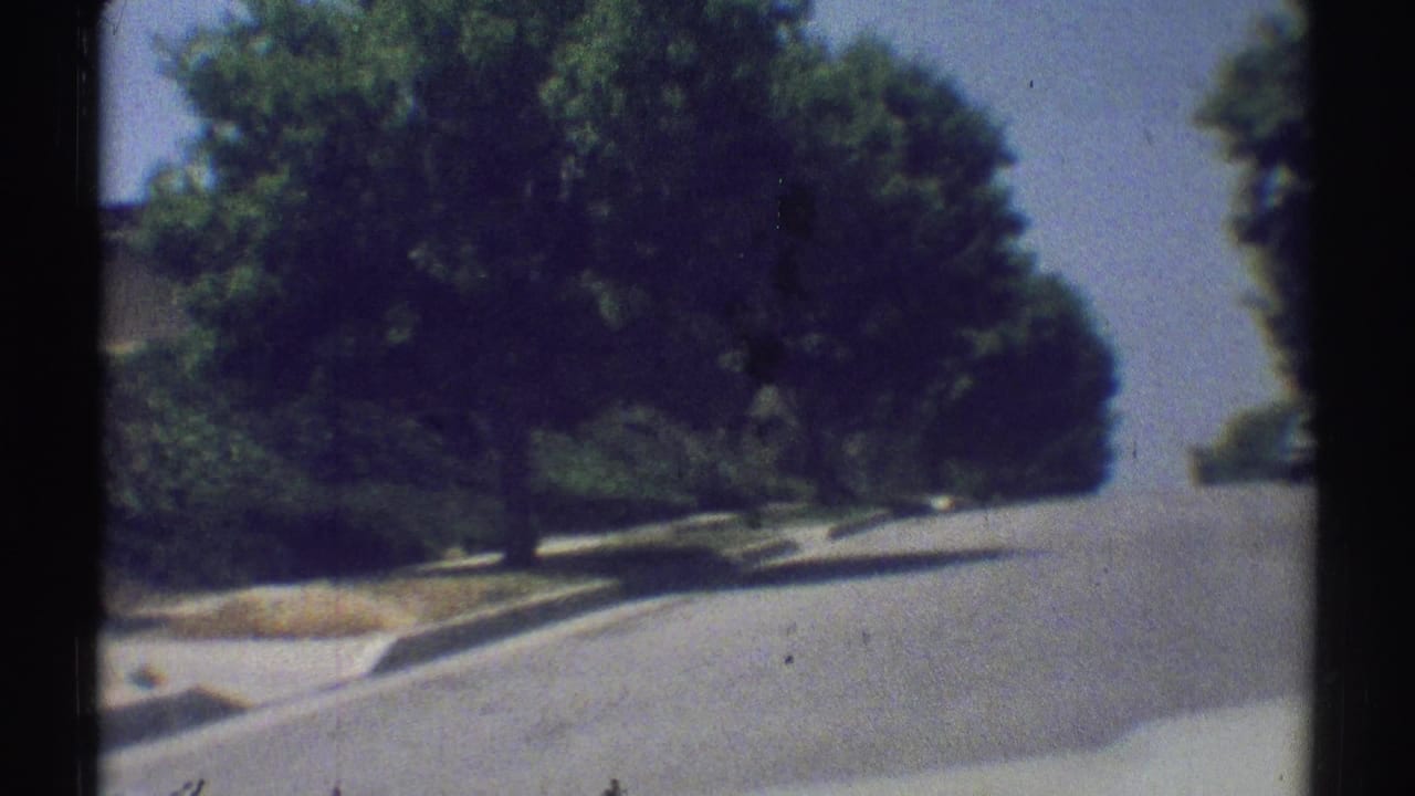 Tree-lined suburban road seen from a moving vehicle.