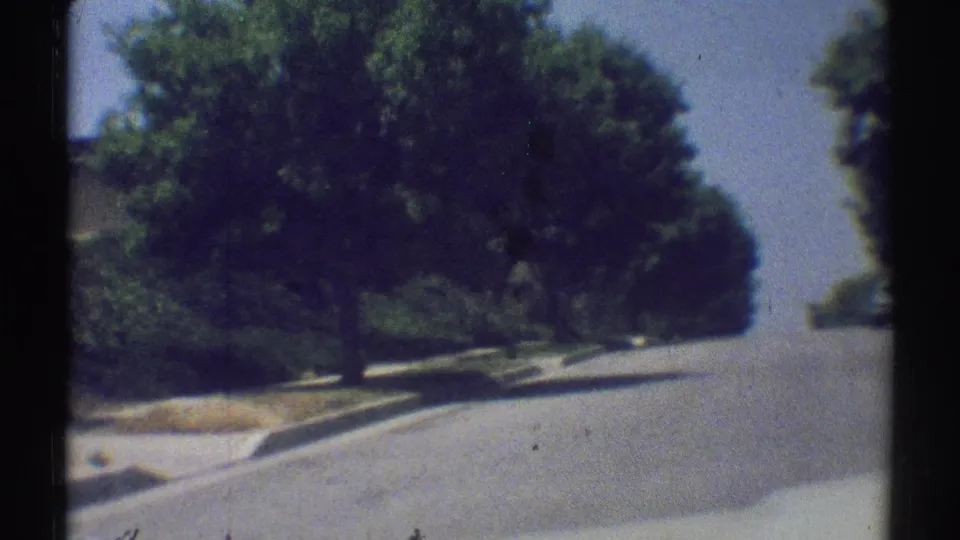 1969 Woodland Hills home-movie view of a quiet road bordered by trees, curb, and sloped grass.