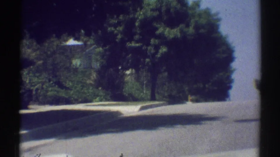 Woodland Hills road view with mature trees, curb, planted yard, and a partly visible residence beyond foliage.