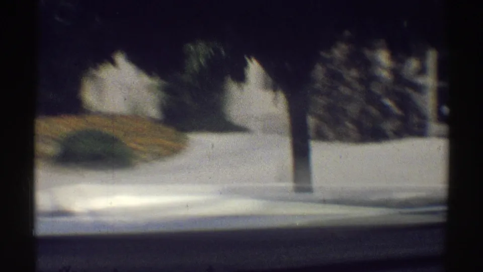 Woodland Hills street-side view from a moving vehicle, with a wall, tree trunk, shrubs, sidewalk, and car hood edge.