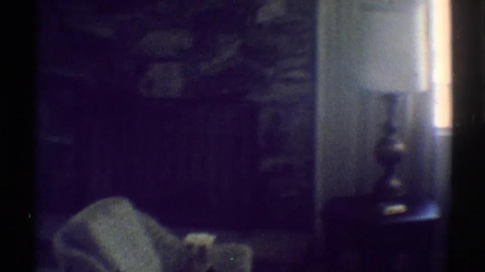 A dark 1969 home interior in Woodland Hills shows the fireplace wall, lamp, window light, and a partial upholstered seat.