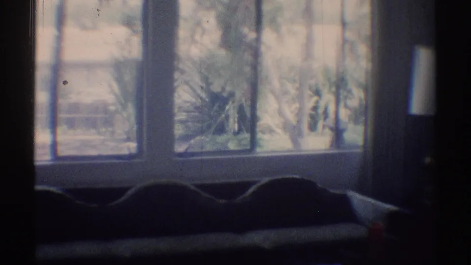 Overexposed window view in a 1969 Woodland Hills living room, with a sofa back below and trees or plants visible outside.