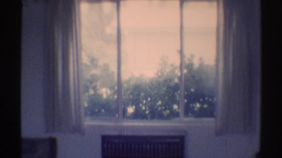 Woodland Hills 1969 interior frame centered on a curtained window with garden shrubs outside and dark furniture partly visible below.