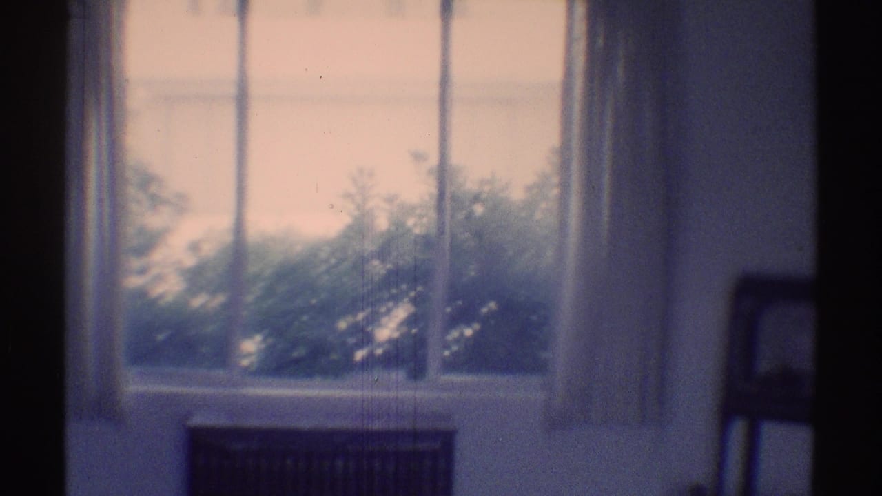 Sunlit window with sheer curtains above a dark couch in a white living room.