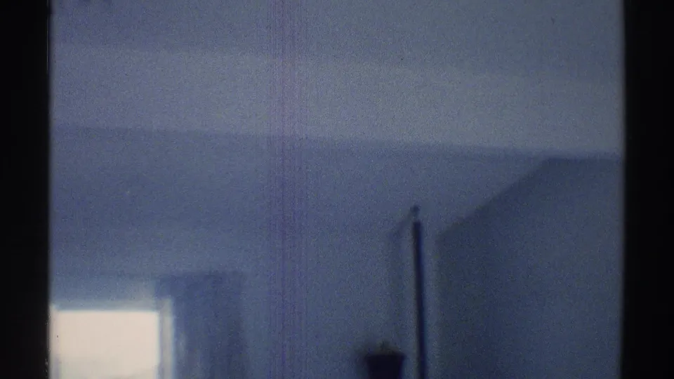 Soft 8mm frame from the interior pan showing a partial window, pale wall, dark couch edge, and vertical plant stand in a Woodland Hills room.