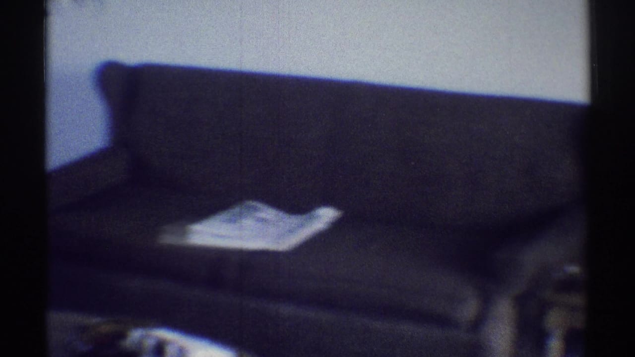 Dim living room with a dark couch and light object on the seat.