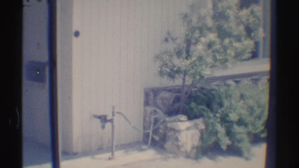 The final frame shows the patio outside the Woodland Hills home, with a hose, shrubs, exterior wall, and low planting area.
