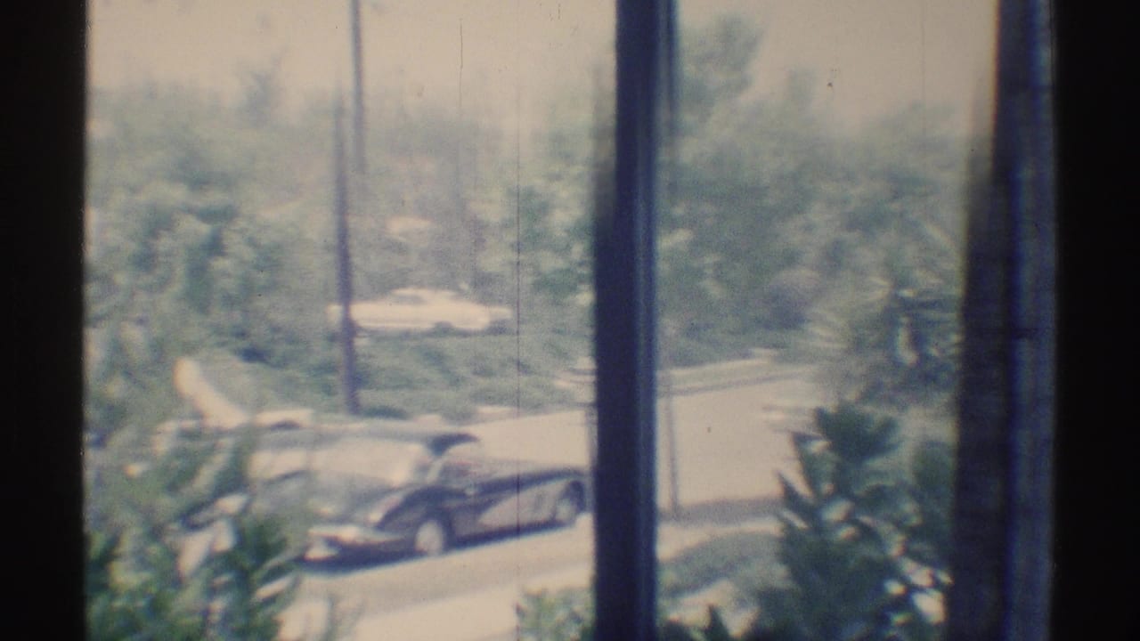 View through window panes toward parked cars on a leafy residential street.