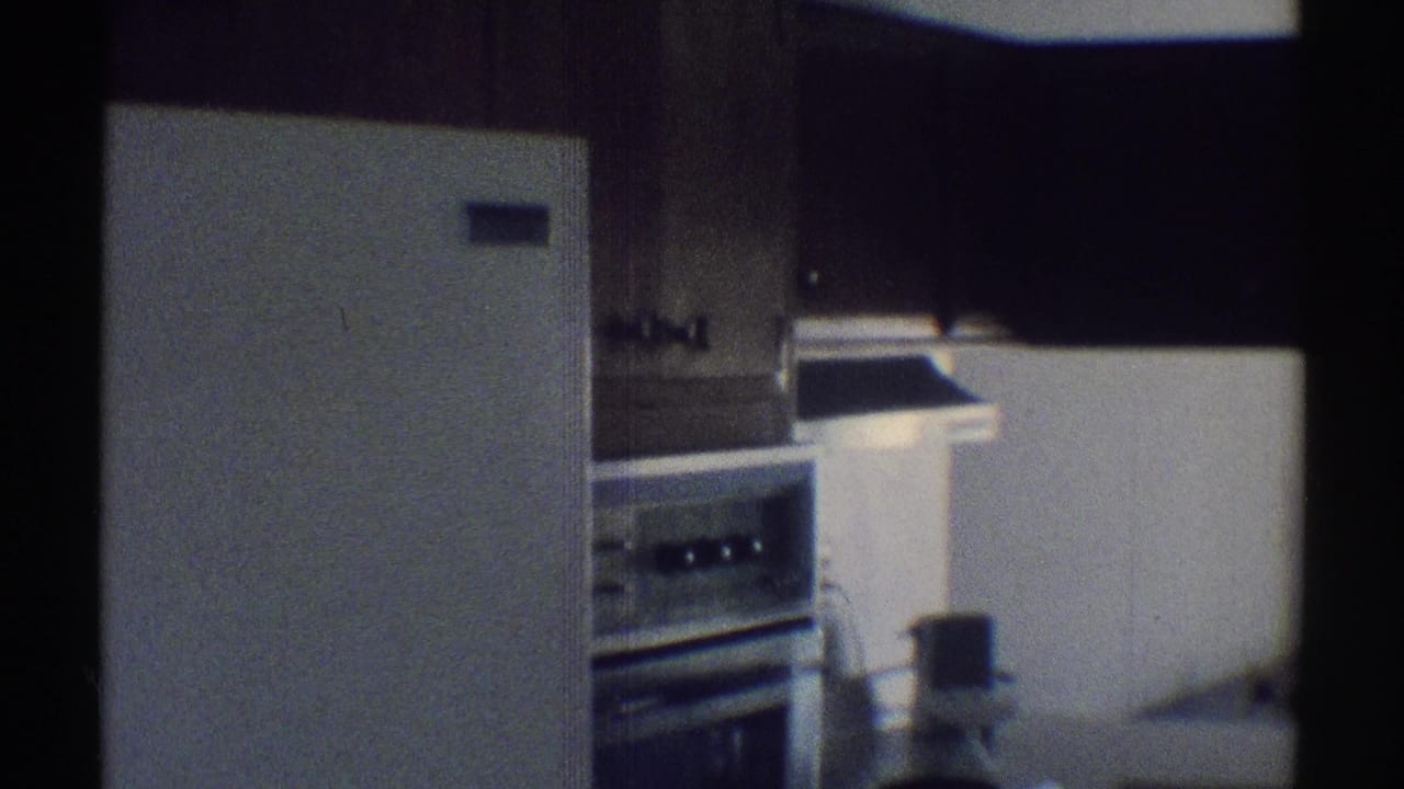 White refrigerator and built-in oven in a dim kitchen with dark cabinets.
