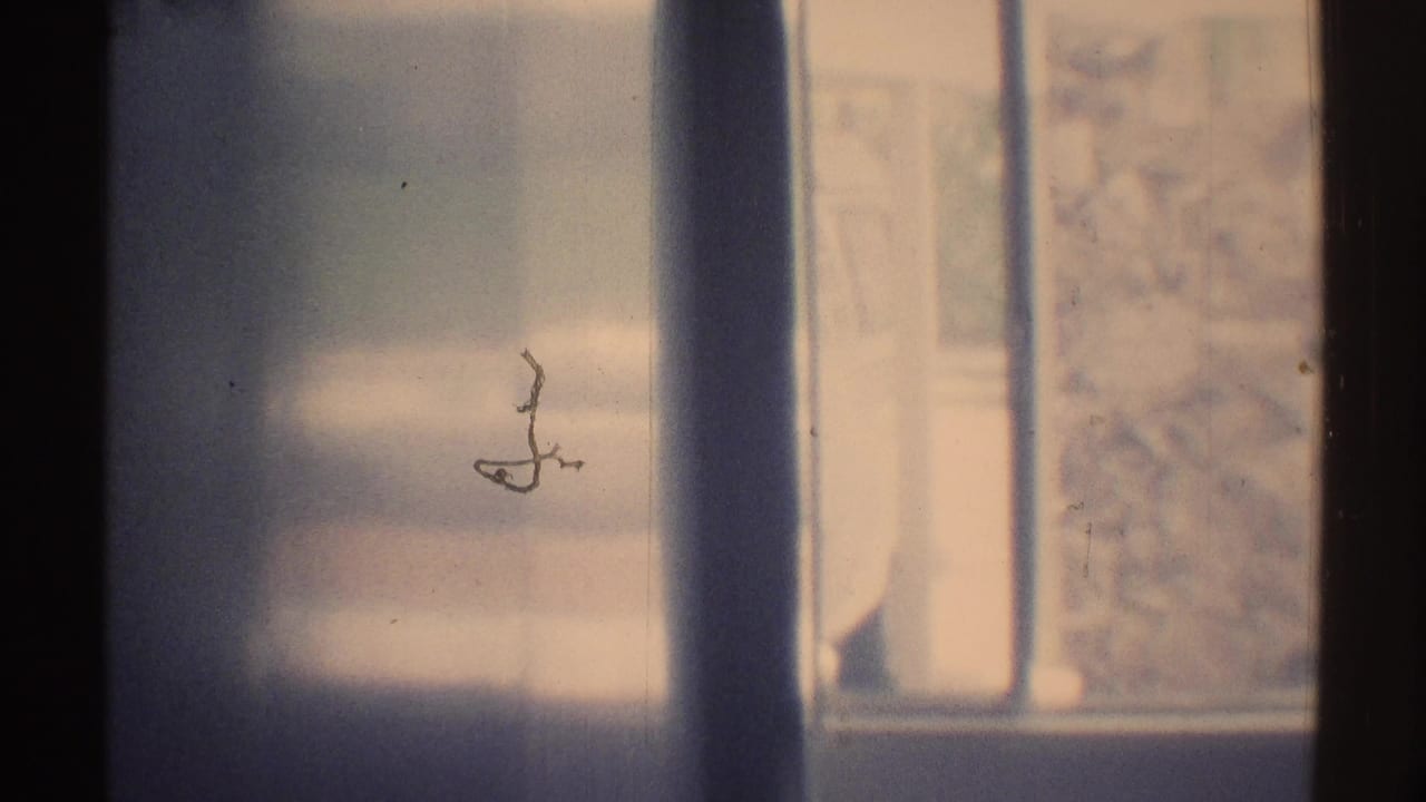 Soft window view with curtains and sunlit exterior shapes beyond the glass.