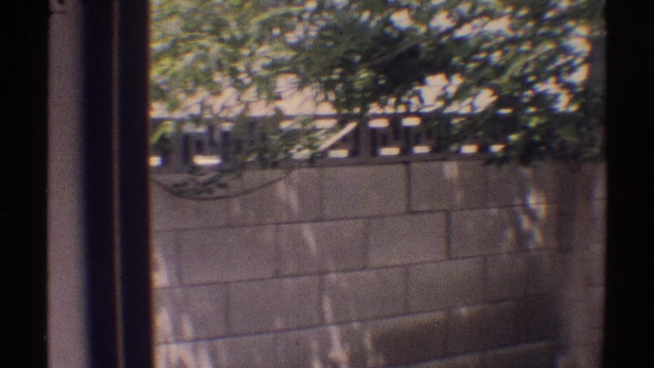 1969 Woodland Hills home-movie frame showing a cinder block backyard wall, leafy trees, and dark vertical framing in the foreground.
