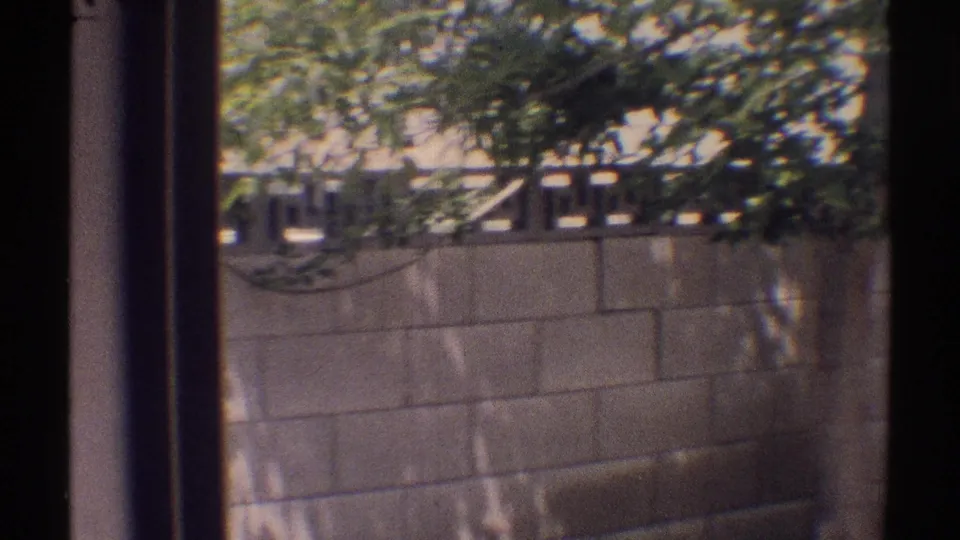 1969 Woodland Hills home-movie frame showing a cinder block backyard wall, leafy trees, and dark vertical framing in the foreground.