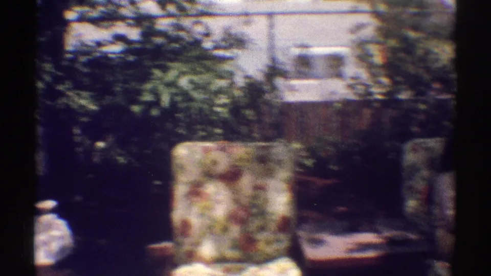 Woodland Hills backyard frame with a patterned patio chair, potted plants, shrubs, and block wall behind the shaded seating area.