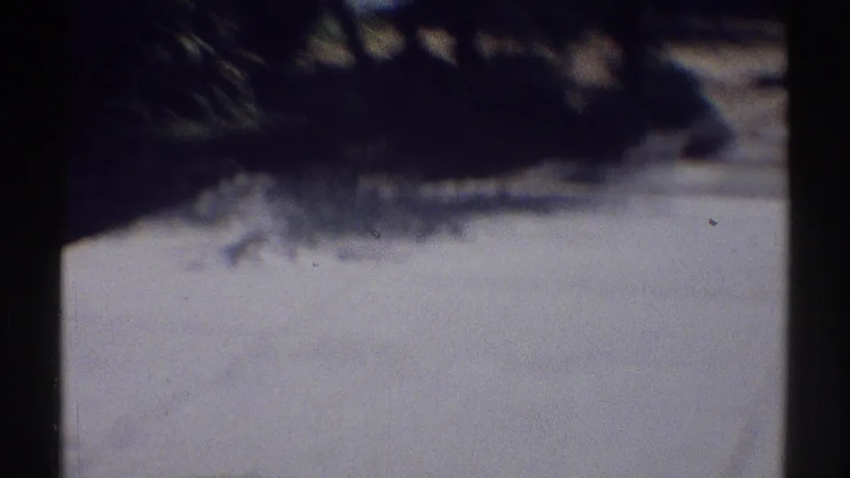 The camera drifts across a sunlit concrete area and dark garden shade in the Woodland Hills yard.