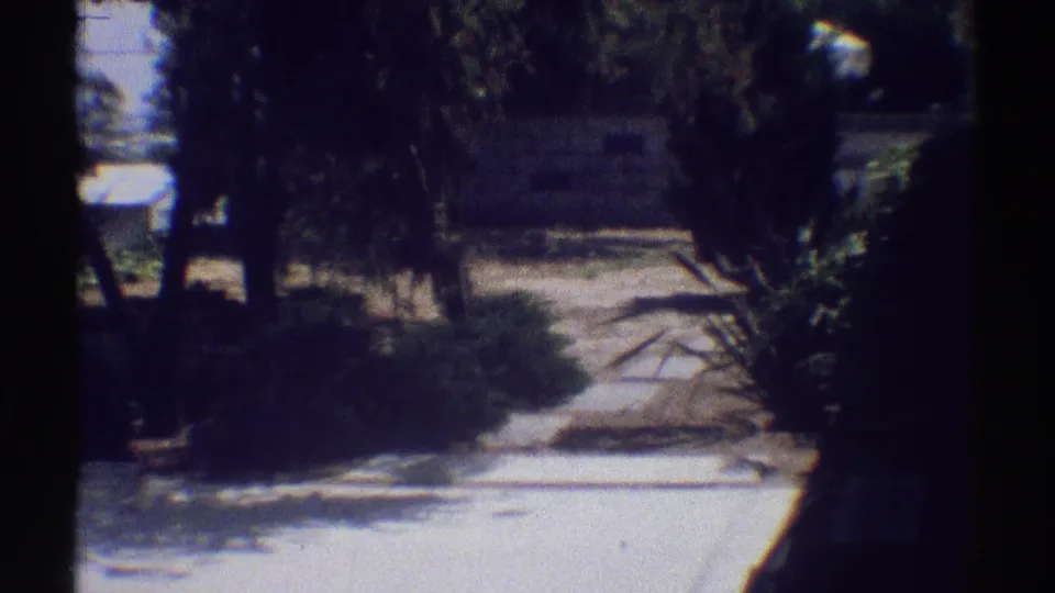 A soft 8mm view shows the Woodland Hills yard with shrubs, trees, and a sunlit concrete path.