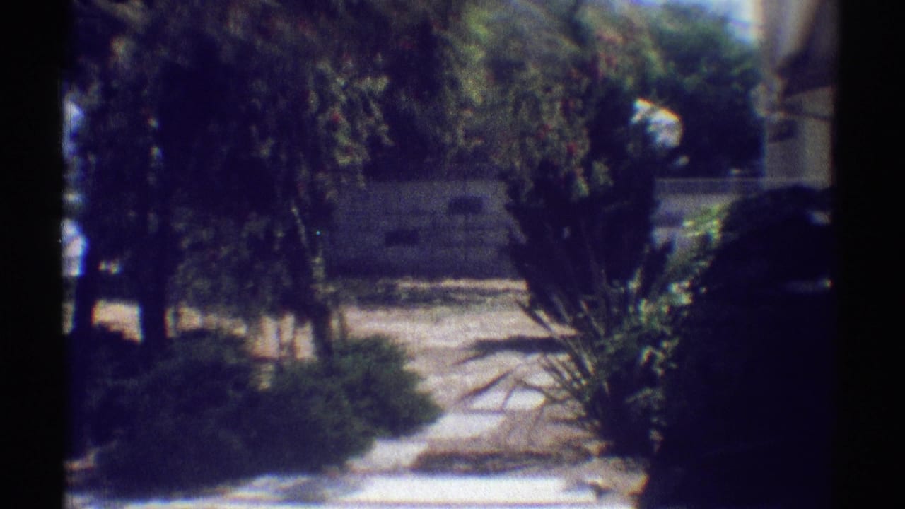 Sunlit backyard path with shrubs, a small tree, and a low wall in shadowed 8mm footage.