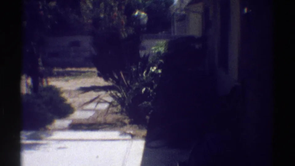 1969 Woodland Hills yard detail with a pale concrete walkway, dense shrubs, house exterior edge, and high-contrast sunlight.