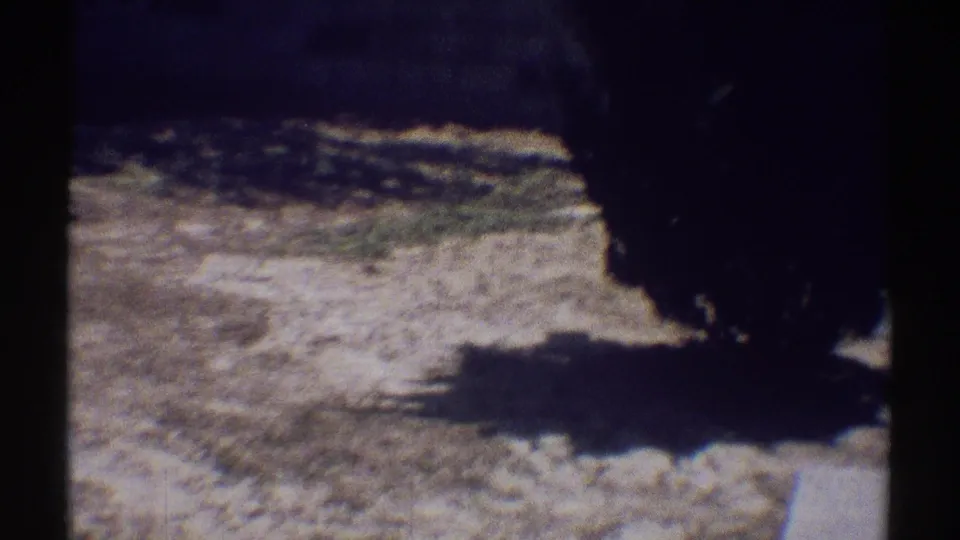 Handheld 8mm view of a Woodland Hills garden path or yard area with dense shrubs, dark shadows, and sunlit dirt ground.