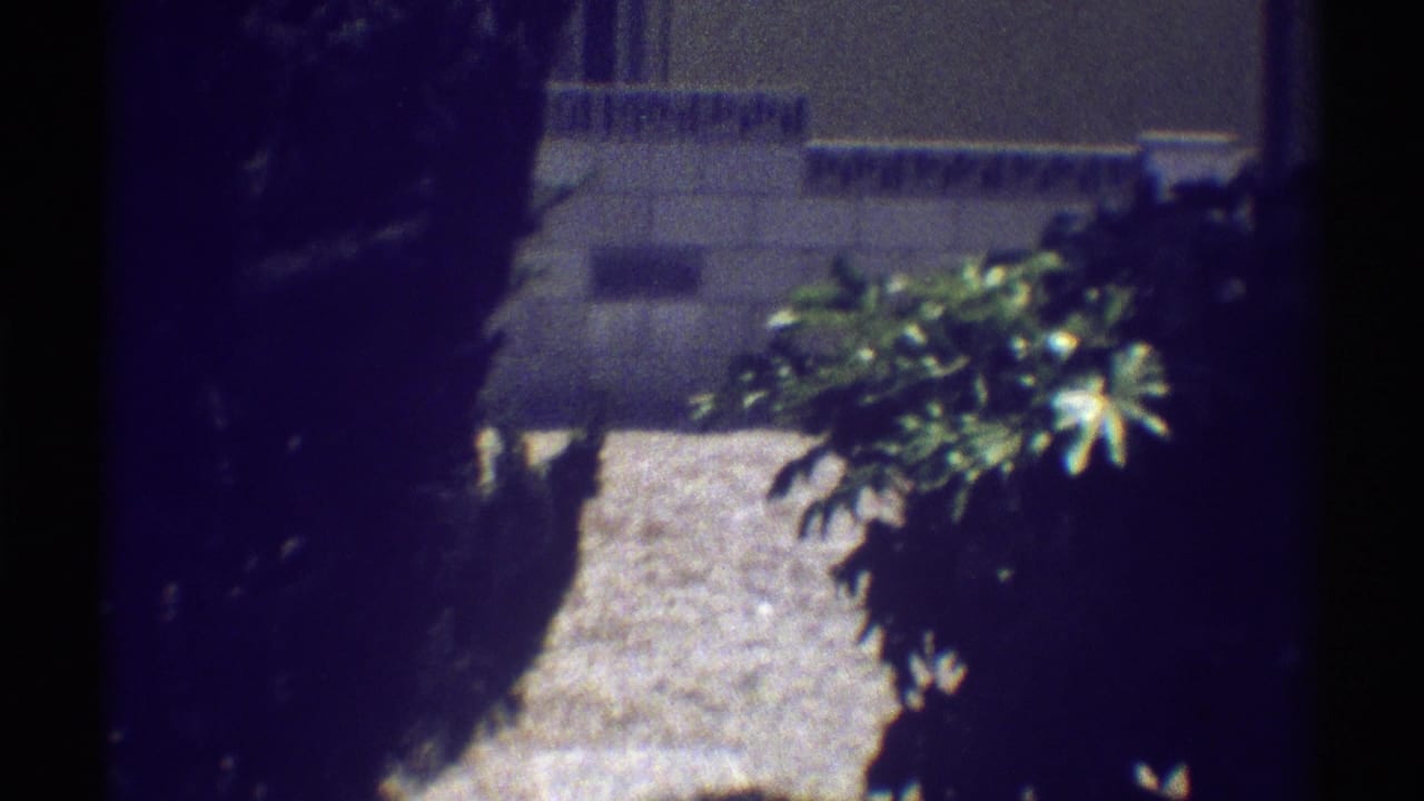 Sunlit gravel path beside bushes and a partial house wall.