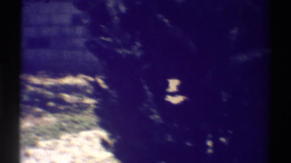 1969 Woodland Hills yard view with a path, heavy shade, dark foliage and handheld 8mm framing.
