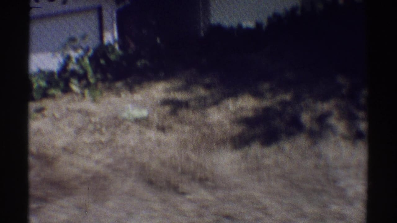 1969 Woodland Hills home-movie frame showing a dry residential yard, shrubs, shadowed ground, and a light garage or wall edge.