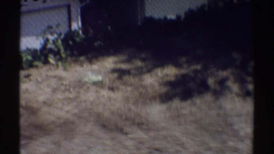 1969 Woodland Hills home-movie frame showing a dry residential yard, shrubs, shadowed ground, and a light garage or wall edge.