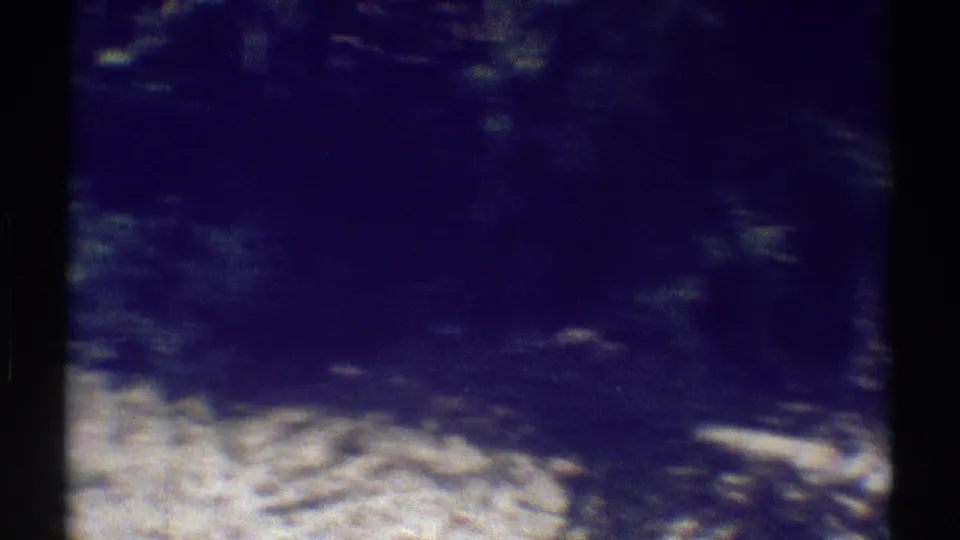 Soft 8mm frame of a shaded residential garden area in Woodland Hills, with foliage and pale dry ground visible.