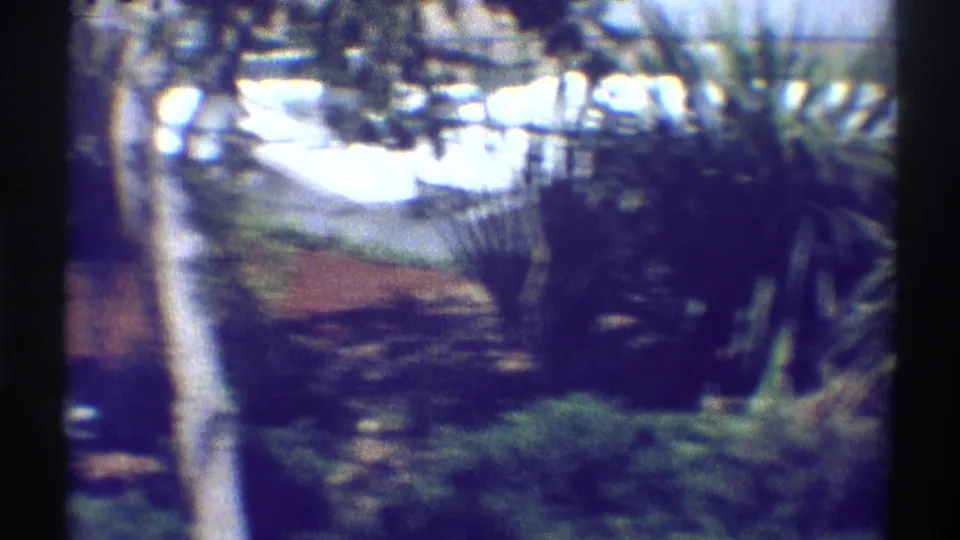 Residential garden view with a pale fence or structure behind plants, seen through heavy shade and handheld 8mm softness.