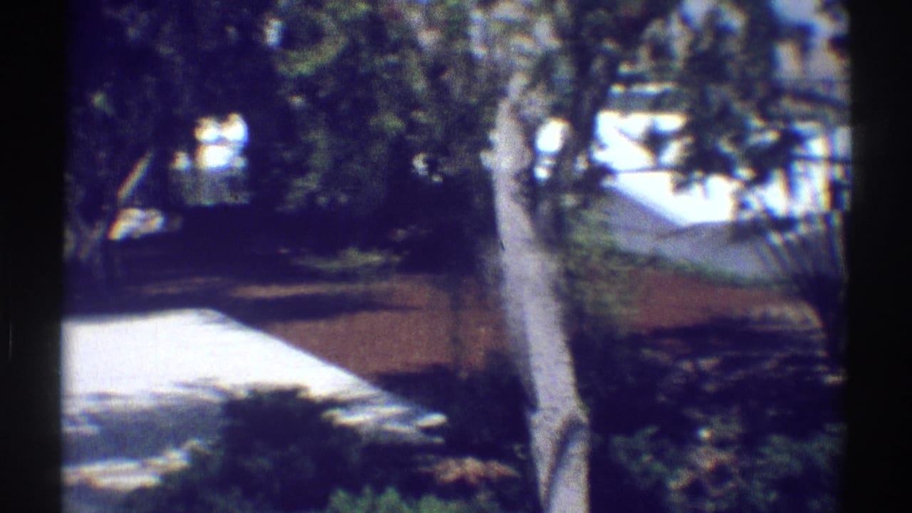 Sunlit residential walkway and trees seen through dark vertical foreground posts.