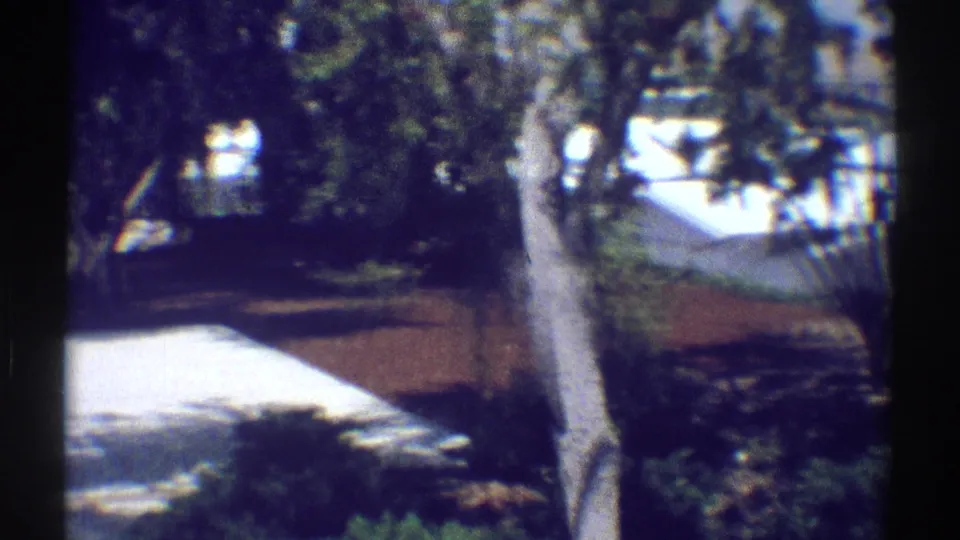 1969 Woodland Hills residential exterior with a bright concrete path, trees, shrubs, and dark foreground posts framing the view.