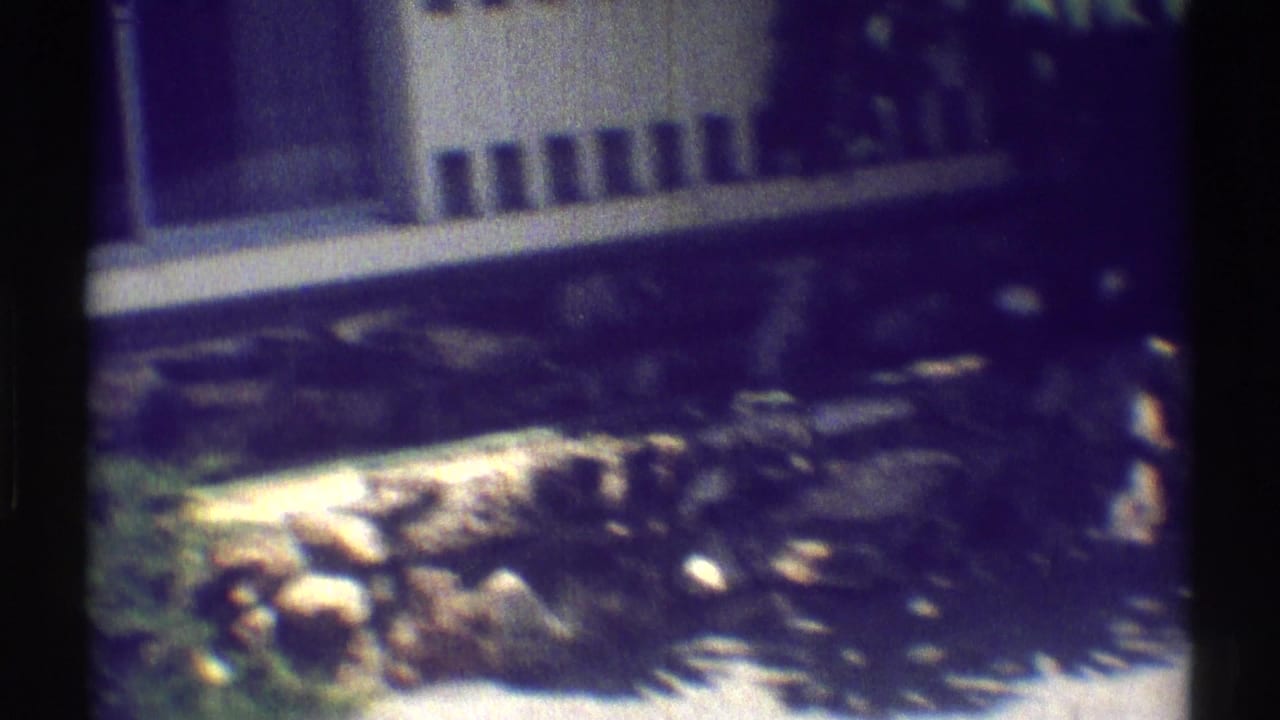 White house facade with dark windows, stone wall, and leafy yard plants.