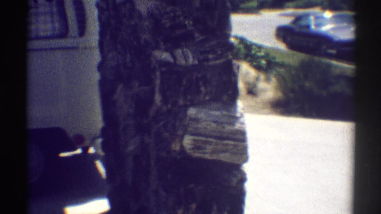 Tree trunk and driveway beside a house, with parked cars partly visible.