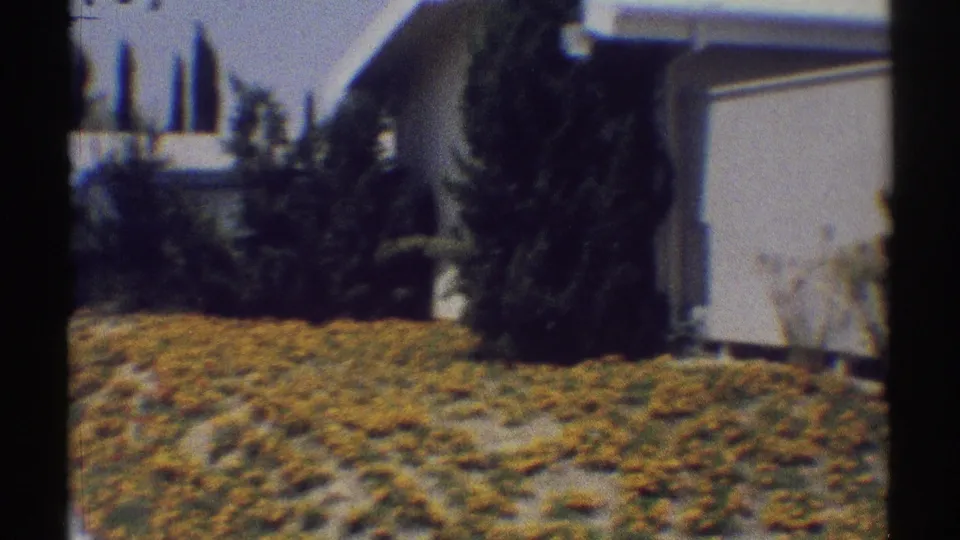 1969 Woodland Hills frame with a planted slope, yellow flowers, tall narrow trees, and white residential walls under a blue sky.