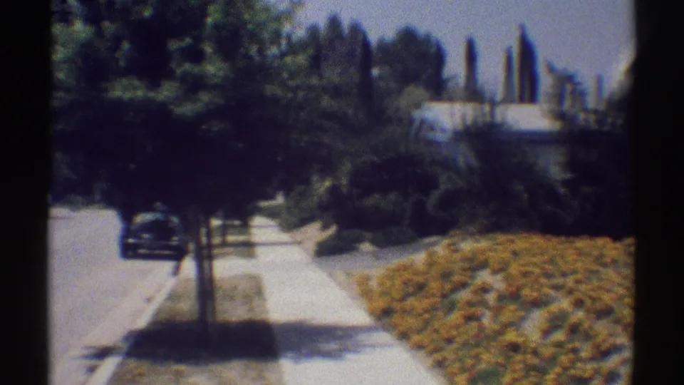 1969 Woodland Hills home-movie view of a suburban street, sidewalk, street tree, parked car, and yellow flowers beside a house.