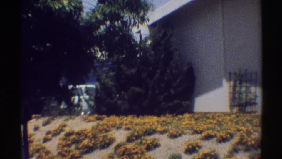 1969 Woodland Hills frame showing the shaded side of a white house, dense shrubs, a small trellis, and yellow flowering groundcover.