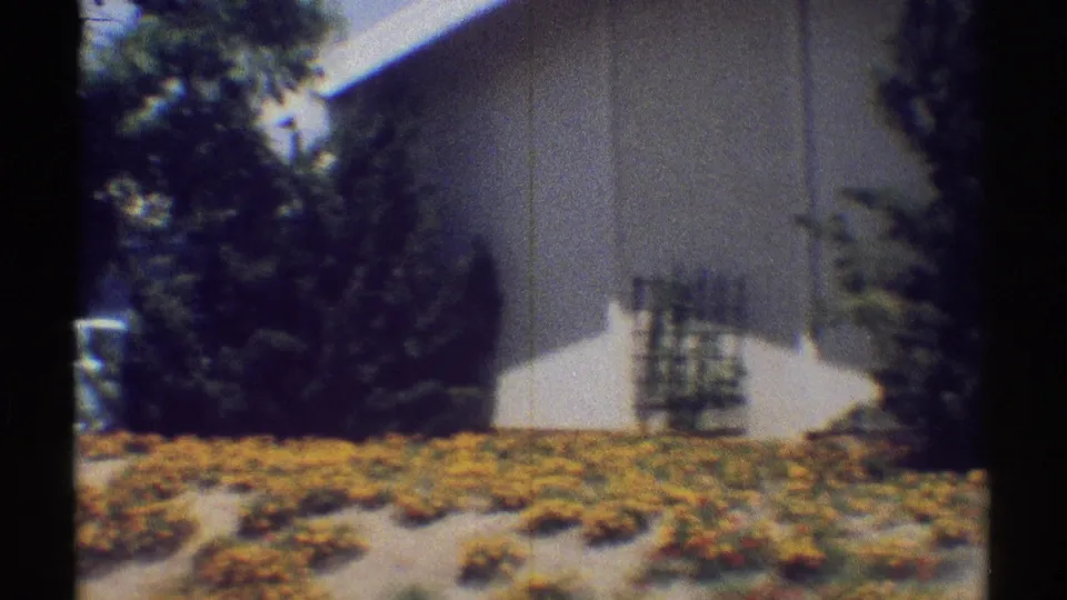 1969 Woodland Hills home exterior with stucco wall, yellow groundcover, shrubs, and a dark foreground tree trunk.