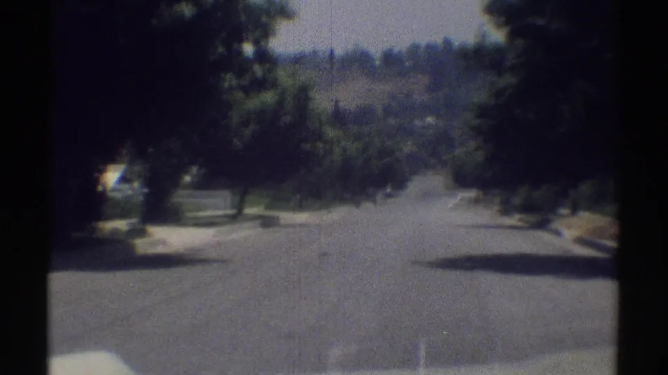 Soft 8mm frame of a Woodland Hills suburban road in 1969, with overhanging trees, curb, and hazy hills beyond.