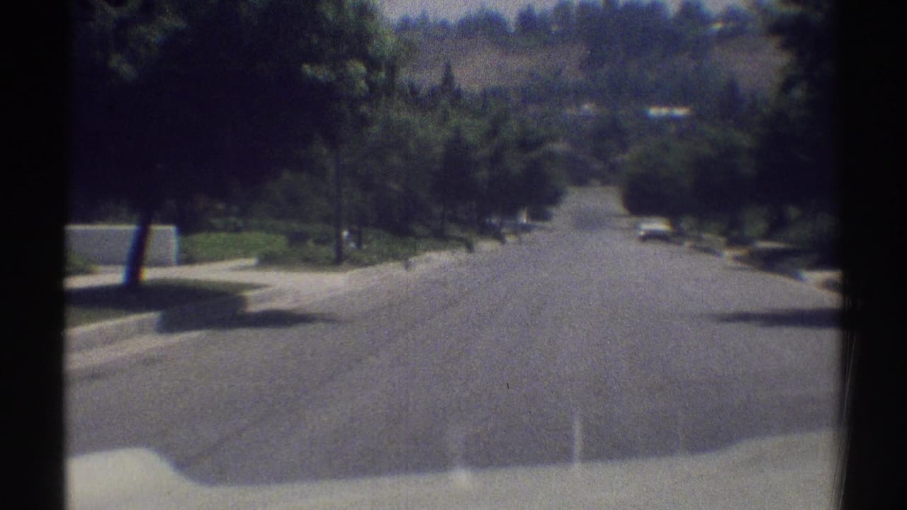 Moving view down a sunlit tree-lined residential street with a distant white car.