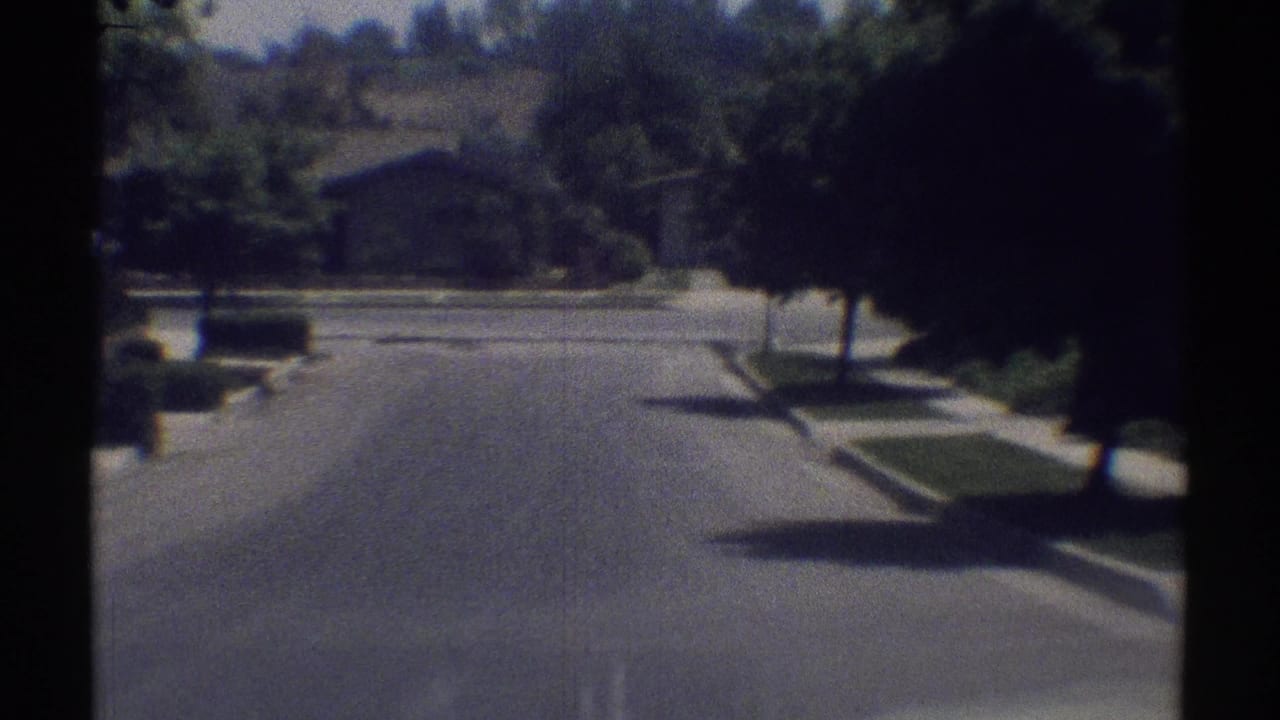 Suburban asphalt street seen from a moving vehicle with trees, lawns, and houses ahead.
