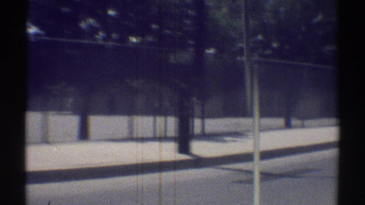 1969 Woodland Hills car-window view showing a road edge, trees, and the vehicle side mirror in soft 8mm color.