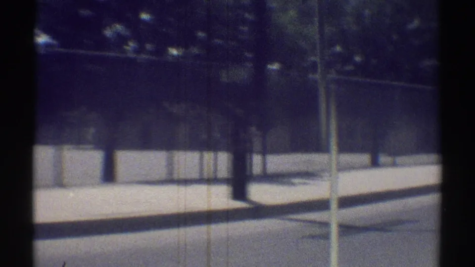 1969 Woodland Hills car-window view showing a road edge, trees, and the vehicle side mirror in soft 8mm color.